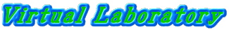 Virtual Laboratory 
