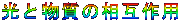 ƕ̑ݍp 